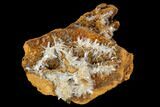 Hemimorphite Crystal Cluster - Chihuahua, Mexico #103835-1